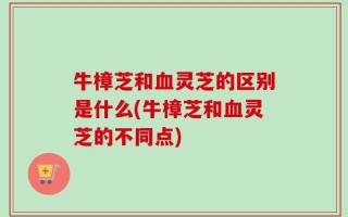 牛樟芝和血灵芝的区别是什么(牛樟芝和血灵芝的不同点)
