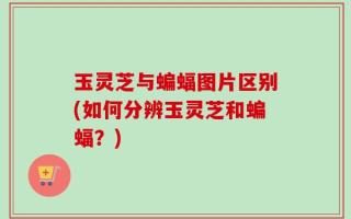 玉灵芝与蝙蝠图片区别(如何分辨玉灵芝和蝙蝠？)