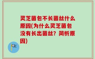 灵芝菌包不长菌丝什么原因(为什么灵芝菌包没有长出菌丝？简析原因)