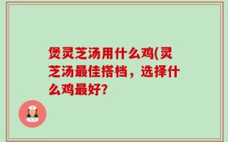 煲灵芝汤用什么鸡(灵芝汤最佳搭档，选择什么鸡最好？