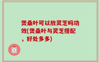 煲桑叶可以放灵芝吗功效(煲桑叶与灵芝搭配，好处多多)
