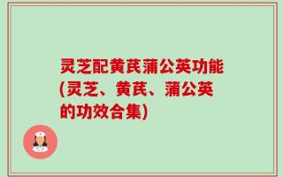 灵芝配黄芪蒲公英功能(灵芝、黄芪、蒲公英的功效合集)