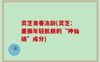 灵芝青春冻龄(灵芝：重振年轻肌肤的“神仙级”成分)