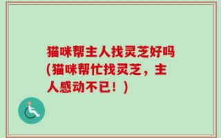 猫咪帮主人找灵芝好吗(猫咪帮忙找灵芝，主人感动不已！)