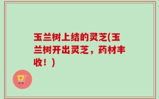玉兰树上结的灵芝(玉兰树开出灵芝，药材丰收！)