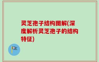 灵芝孢子结构图解(深度解析灵芝孢子的结构特征)