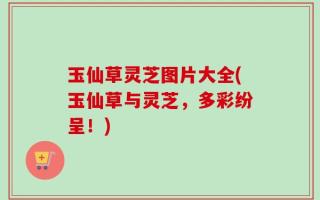 玉仙草灵芝图片大全(玉仙草与灵芝，多彩纷呈！)