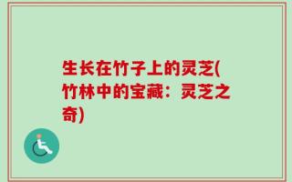 生长在竹子上的灵芝(竹林中的宝藏：灵芝之奇)