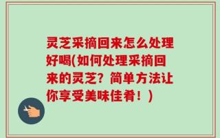 灵芝采摘回来怎么处理好喝(如何处理采摘回来的灵芝？简单方法让你享受美味佳肴！)