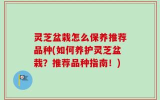 灵芝盆栽怎么保养推荐品种(如何养护灵芝盆栽？推荐品种指南！)