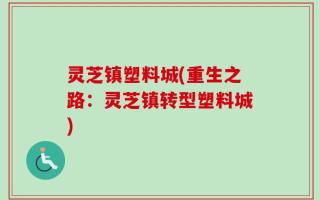 灵芝镇塑料城(重生之路：灵芝镇转型塑料城)