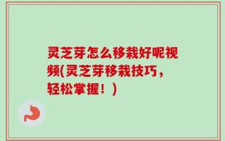 灵芝芽怎么移栽好呢视频(灵芝芽移栽技巧，轻松掌握！)