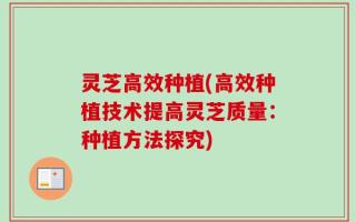 灵芝高效种植(高效种植技术提高灵芝质量：种植方法探究)