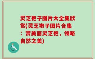 灵芝袍子图片大全集欣赏(灵芝袍子图片合集：赏美丽灵芝袍，领略自然之美)