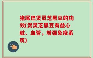 猪尾巴煲灵芝黑豆的功效(煲灵芝黑豆有益心脏、血管，增强免疫系统)