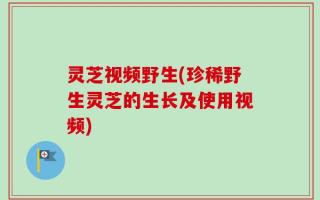 灵芝视频野生(珍稀野生灵芝的生长及使用视频)