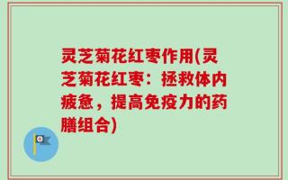 灵芝菊花红枣作用(灵芝菊花红枣：拯救体内疲惫，提高免疫力的药膳组合)