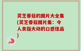 灵芝香菇的图片大全集(灵芝香菇图片集：令人食指大动的口感佳品)