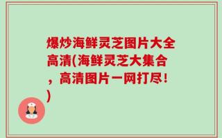 爆炒海鲜灵芝图片大全高清(海鲜灵芝大集合，高清图片一网打尽！)