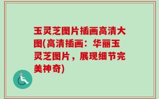 玉灵芝图片插画高清大图(高清插画：华丽玉灵芝图片，展现细节完美神奇)