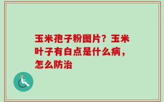 玉米孢子粉图片？玉米叶子有白点是什么病，怎么防治