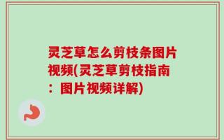 灵芝草怎么剪枝条图片视频(灵芝草剪枝指南：图片视频详解)