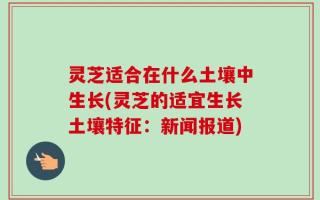 灵芝适合在什么土壤中生长(灵芝的适宜生长土壤特征：新闻报道)