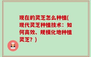 现在的灵芝怎么种植(现代灵芝种植技术：如何高效、规模化地种植灵芝？)