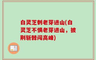 白灵芝刺老芽进山(白灵芝不惧老芽进山，披荆斩棘闯高峰)