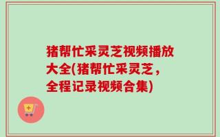 猪帮忙采灵芝视频播放大全(猪帮忙采灵芝，全程记录视频合集)