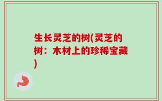 生长灵芝的树(灵芝的树：木材上的珍稀宝藏)