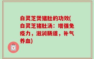 白灵芝煲猪肚的功效(白灵芝猪肚汤：增强免疫力，滋润肠道，补气养血)