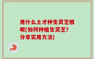 用什么土才种生灵芝根呢(如何种植生灵芝？分享实用方法)