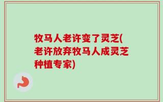 牧马人老许变了灵芝(老许放弃牧马人成灵芝种植专家)