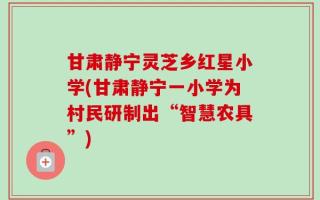 甘肃静宁灵芝乡红星小学(甘肃静宁一小学为村民研制出“智慧农具”)