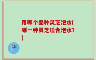 用哪个品种灵芝泡水(哪一种灵芝适合泡水？)