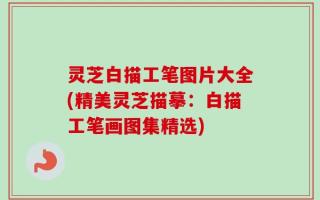 灵芝白描工笔图片大全(精美灵芝描摹：白描工笔画图集精选)
