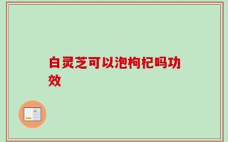 白灵芝可以泡枸杞吗功效