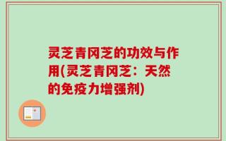 灵芝青冈芝的功效与作用(灵芝青冈芝：天然的免疫力增强剂)