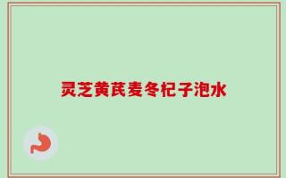 灵芝黄芪麦冬杞子泡水