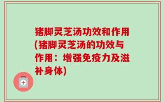 猪脚灵芝汤功效和作用(猪脚灵芝汤的功效与作用：增强免疫力及滋补身体)