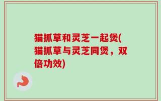 猫抓草和灵芝一起煲(猫抓草与灵芝同煲，双倍功效)