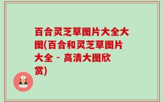 百合灵芝草图片大全大图(百合和灵芝草图片大全 - 高清大图欣赏)