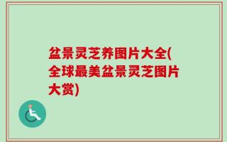 盆景灵芝养图片大全(全球最美盆景灵芝图片大赏)