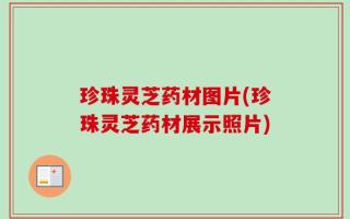 珍珠灵芝药材图片(珍珠灵芝药材展示照片)