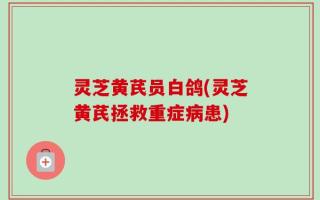 灵芝黄芪员白鸽(灵芝黄芪拯救重症病患)