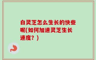 白灵芝怎么生长的快些呢(如何加速灵芝生长速度？)