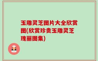 玉雕灵芝图片大全欣赏图(欣赏珍贵玉雕灵芝瑰丽图集)