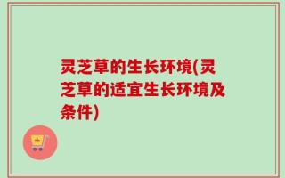 灵芝草的生长环境(灵芝草的适宜生长环境及条件)