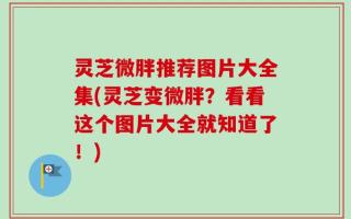 灵芝微胖推荐图片大全集(灵芝变微胖？看看这个图片大全就知道了！)